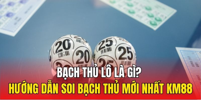 Bạch Thủ Lô Là Gì