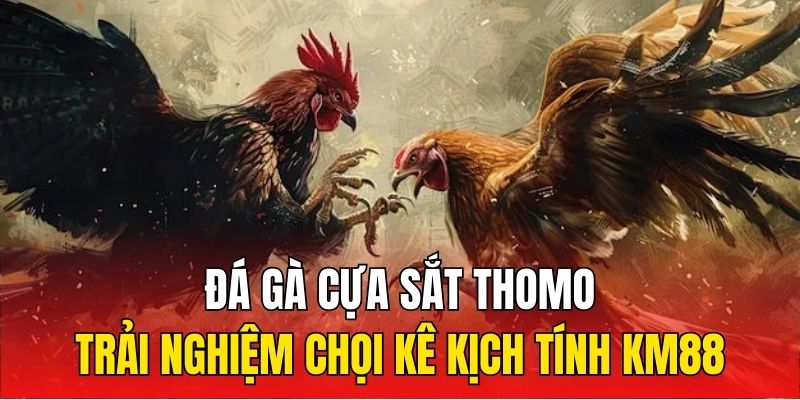 Đá Gà Cựa Sắt Thomo