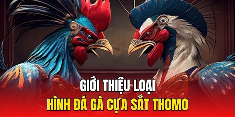 Giới thiệu loại hình đá gà cựa sắt Thomo