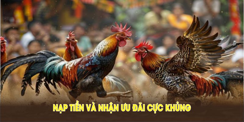 Nạp tiền và nhận ưu đãi cực khủng từ nền tảng KM88