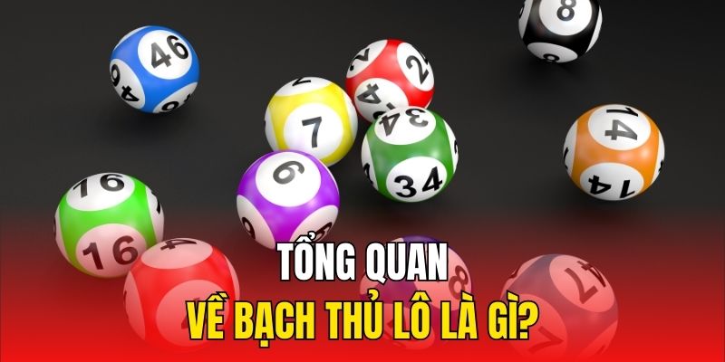 Tổng quan về bạch thủ lô là gì